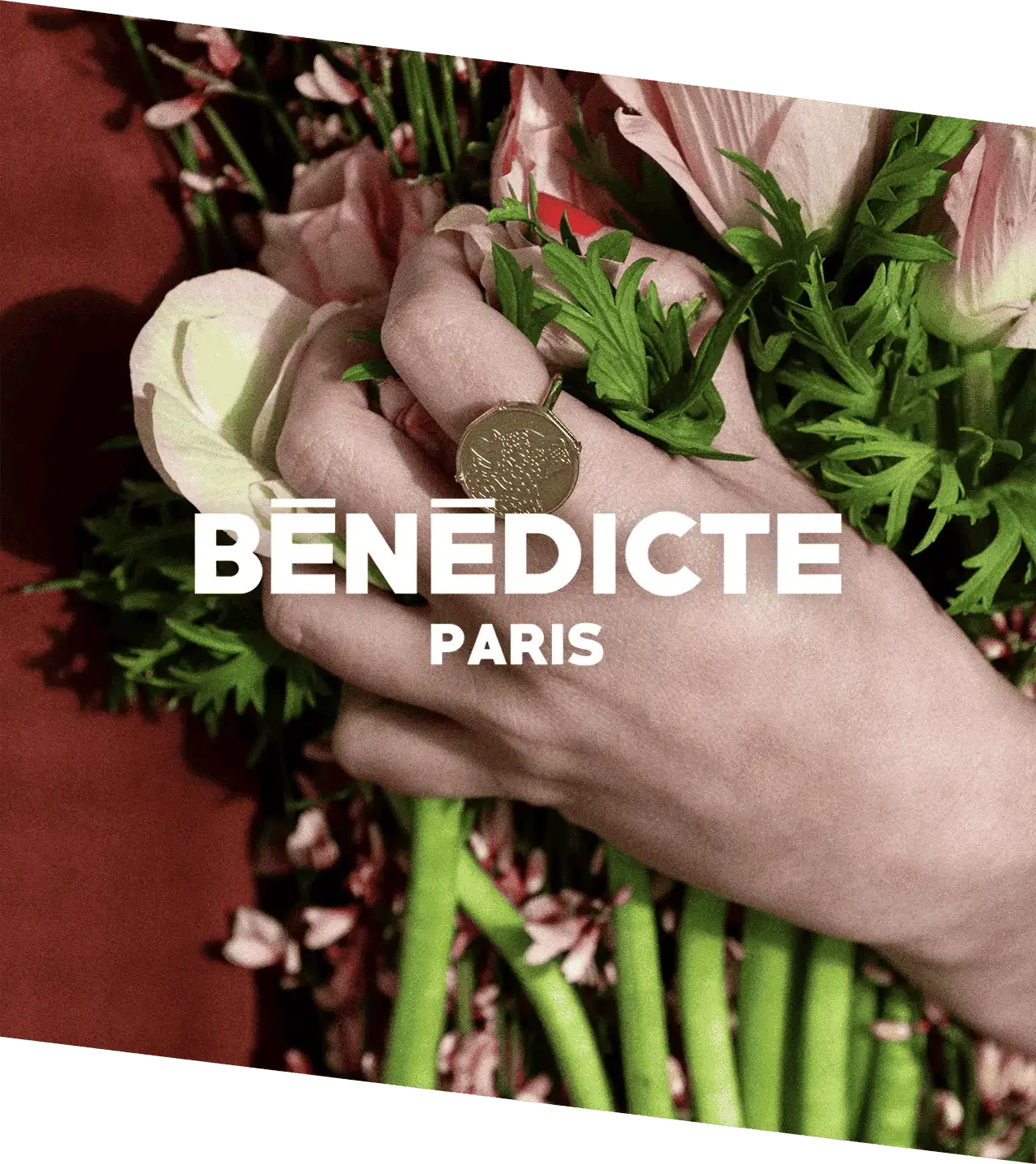 Bénédicte Paris, client dont la boutique en ligne sur mesure a été réalisée par Countea Applications.